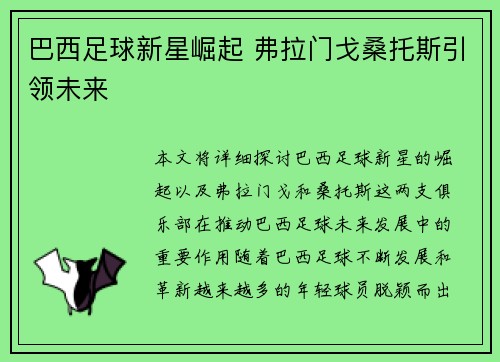 巴西足球新星崛起 弗拉门戈桑托斯引领未来