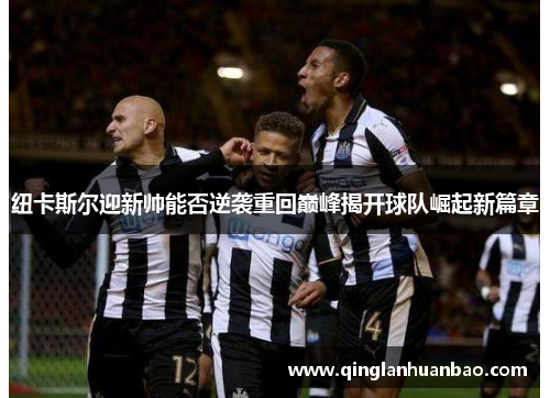 纽卡斯尔迎新帅能否逆袭重回巅峰揭开球队崛起新篇章